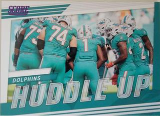 Miami Dolphins