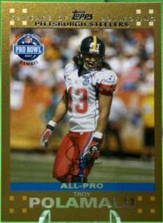 Troy Polamalu