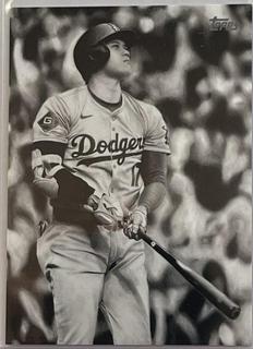 Shohei Ohtani