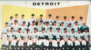 Tigers Team