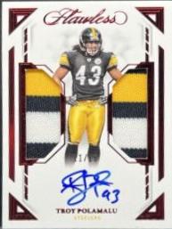 Troy Polamalu