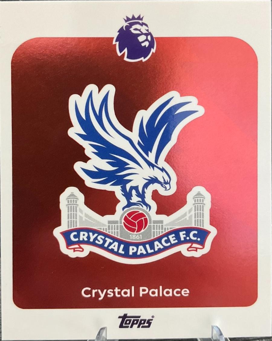 2025 Team Badge #109
