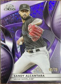 Sandy Alcantara
