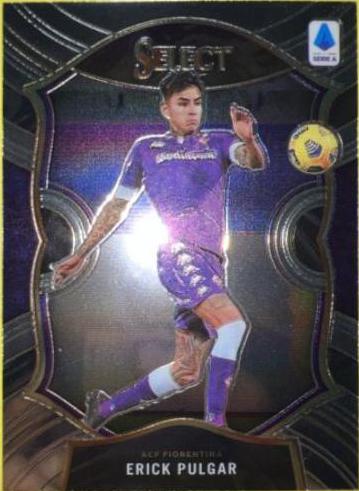 Erick Pulgar #24