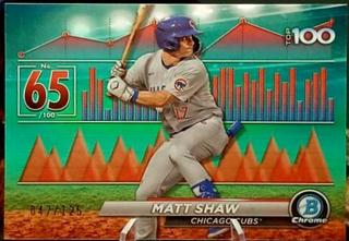 Matt Shaw