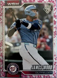 James Wood