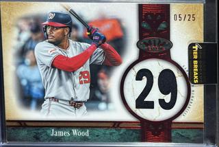 James Wood