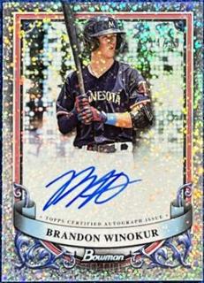 Brandon Winokur