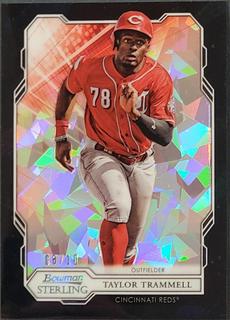 Taylor Trammell