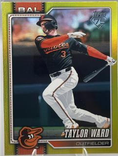 Taylor Ward