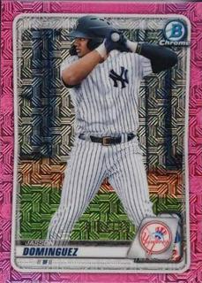 Jasson Dominguez