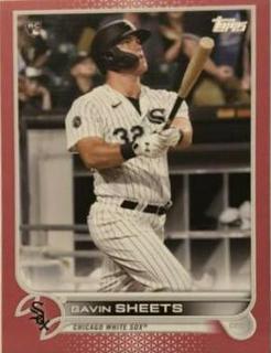 Gavin Sheets