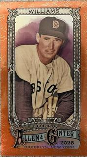 Ted Williams