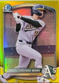 Shotaro Morii
