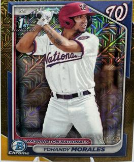 Yohandy Morales
