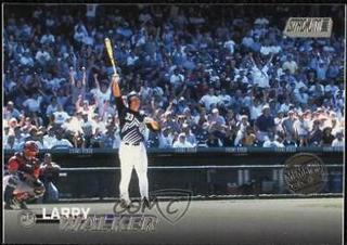 Larry Walker