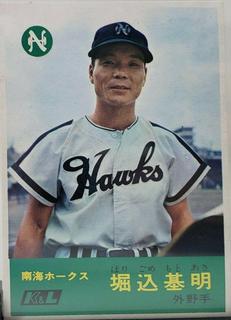 Motoaki Horigome