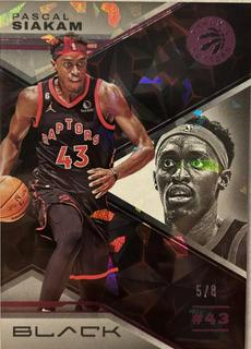 Pascal Siakam