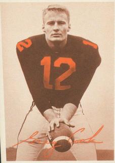 Greg Cook