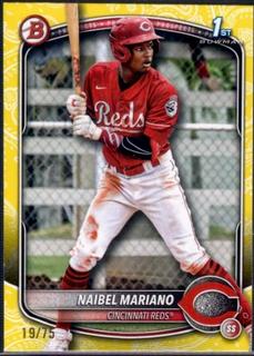 Naibel Mariano