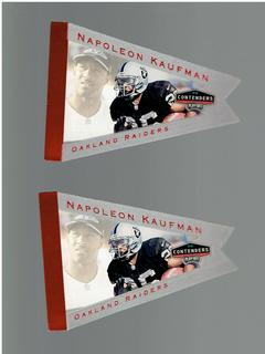Napoleon Kaufman