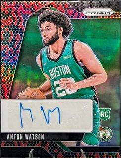 Anton Watson