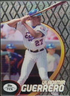 Vladimir Guerrero