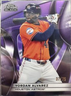 Yordan Alvarez