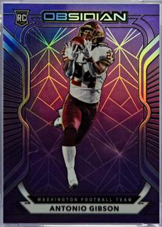 Antonio Gibson