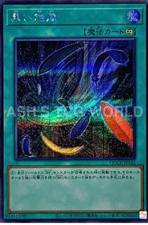 Black Whirlwind QCCP-JP142