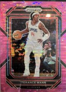 Terance Mann