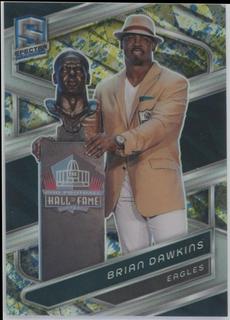 Brian Dawkins