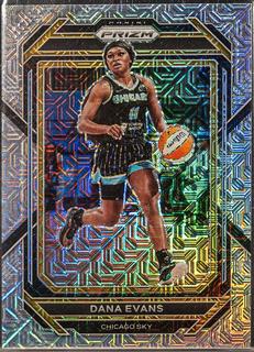 Dana Evans