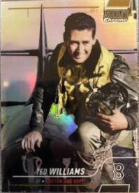 Ted Williams