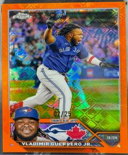 Vladimir Guerrero Jr.