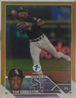 Tim Anderson