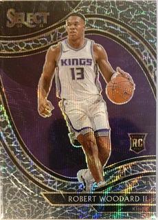 Robert Woodard II