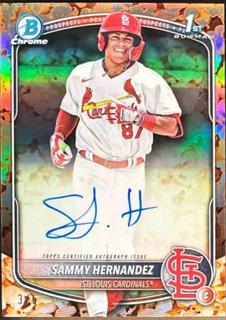 Sammy Hernandez