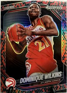 Dominique Wilkins