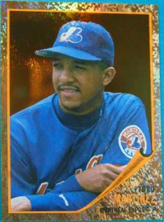 Pedro Martinez