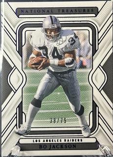 Bo Jackson
