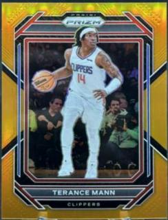 Terance Mann