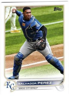 Salvador Perez