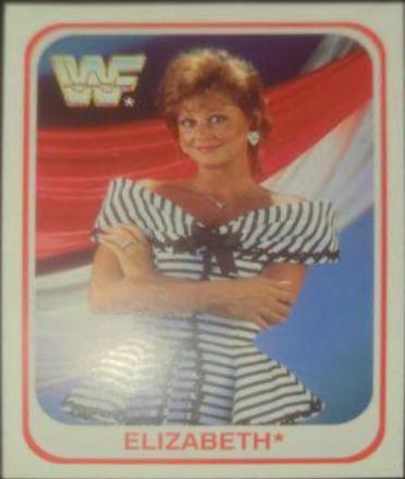 Macho Man Randy Savage, Miss Elizabeth #17 Wrestling Cards 1991 Merlin WWF