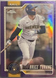 Brice Turang