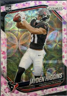 Jayden Higgins