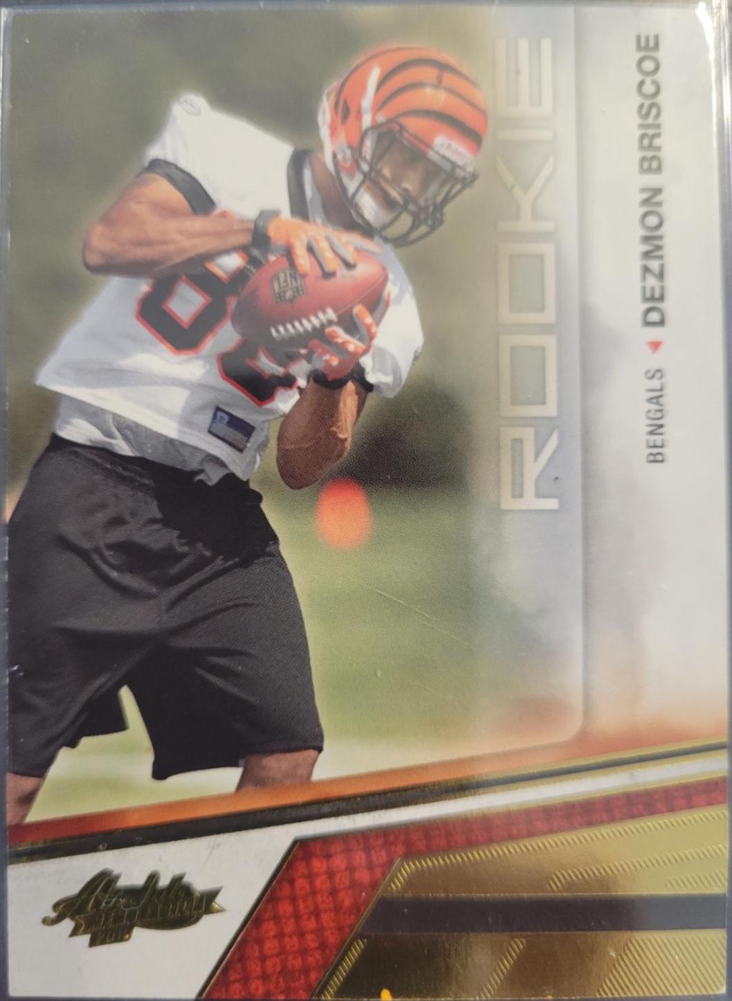 Dezmon Briscoe #130 Football Cards 2010 Panini Absolute Memorabilia