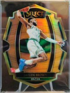 Jaylen Brown