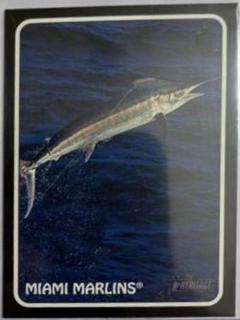 Miami Marlins