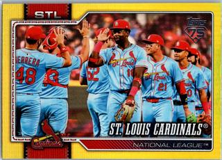 Team Card